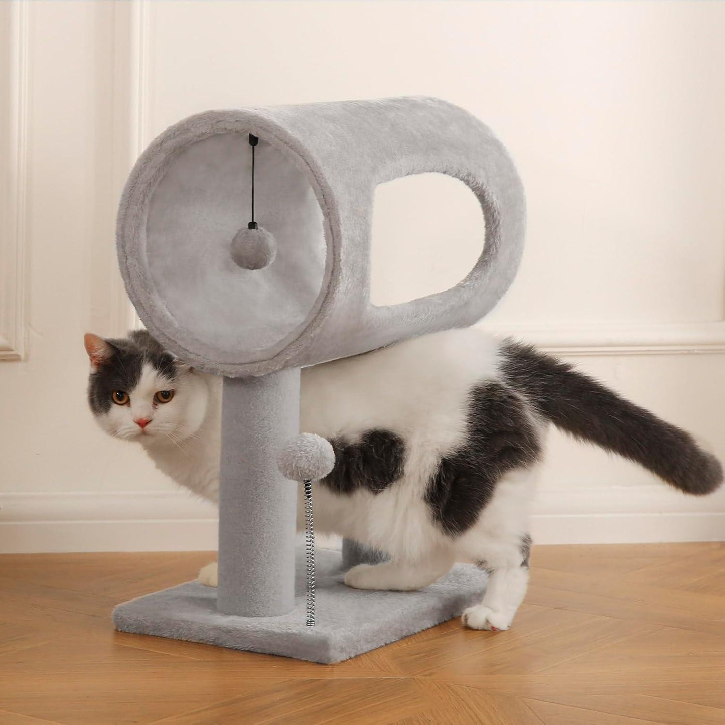 Indoor Cat Tree | Play Tower with Hanging Ball & Bed