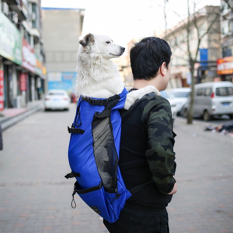 Pet Travel Backpack | Safe, Hands-Free Carrier for Dogs