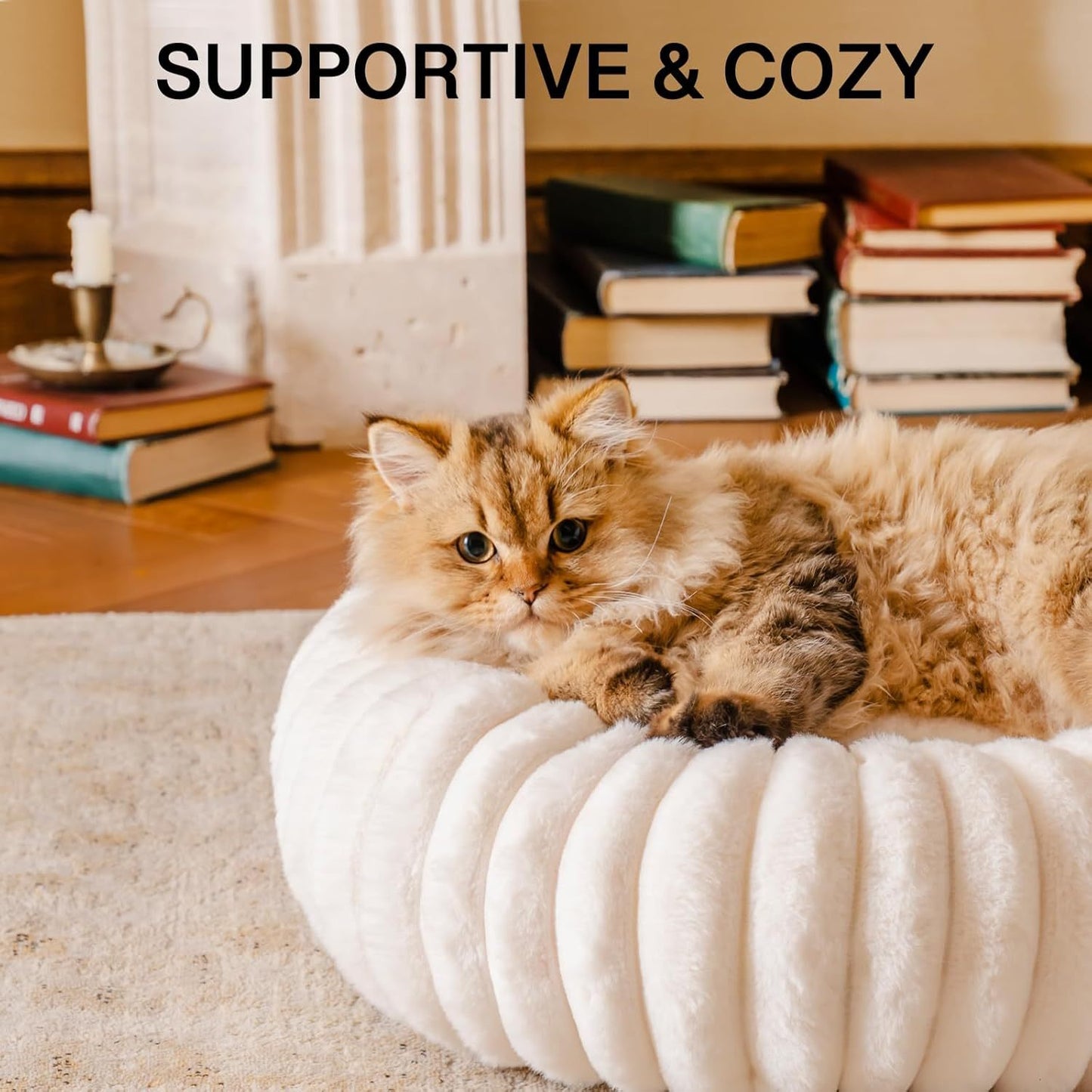 Fluffy Donut Puppy Bed | Cozy Comfort for Small Pets