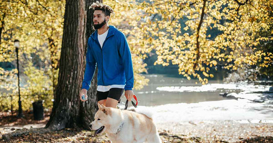 Best Eco-Friendly Dog Poop Bags For Green Pet Owners