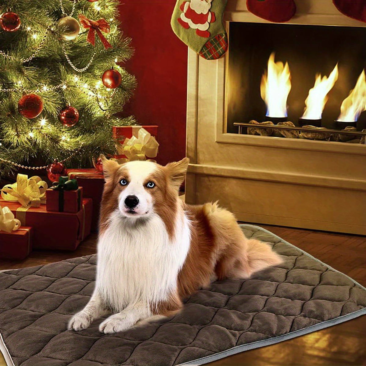 Self-Heating Pet Bed | Warm, Cozy & Washable Comfort