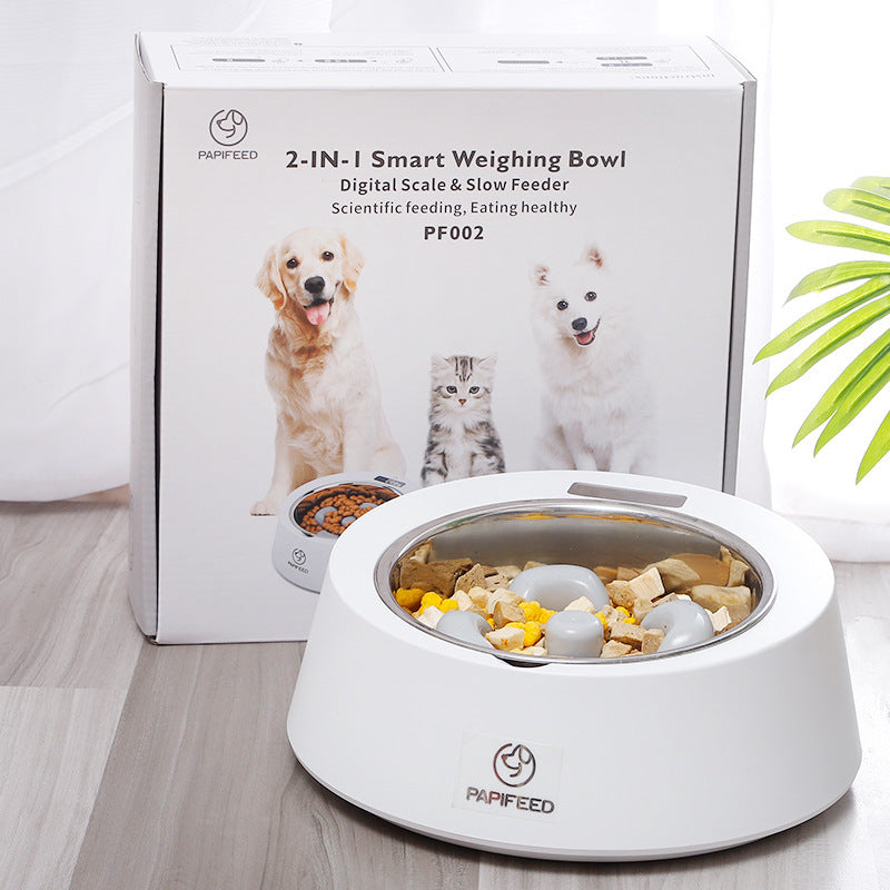 Slow Feeder Pet Bowl | Smart, Measured & Stress-Free Meals
