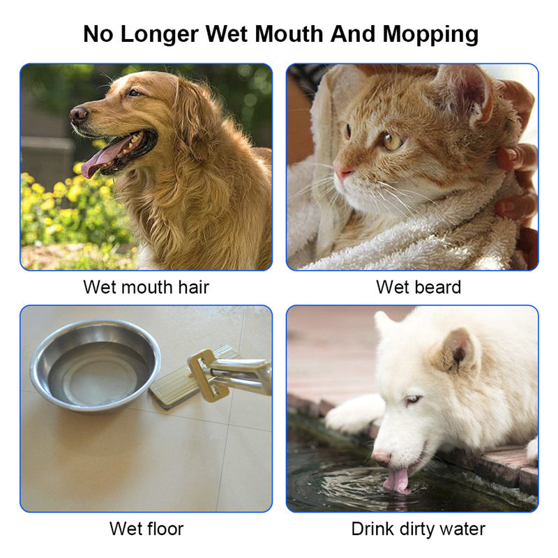 Slow Drinking Pet Water Bowl | No Spill, Clean & Easy