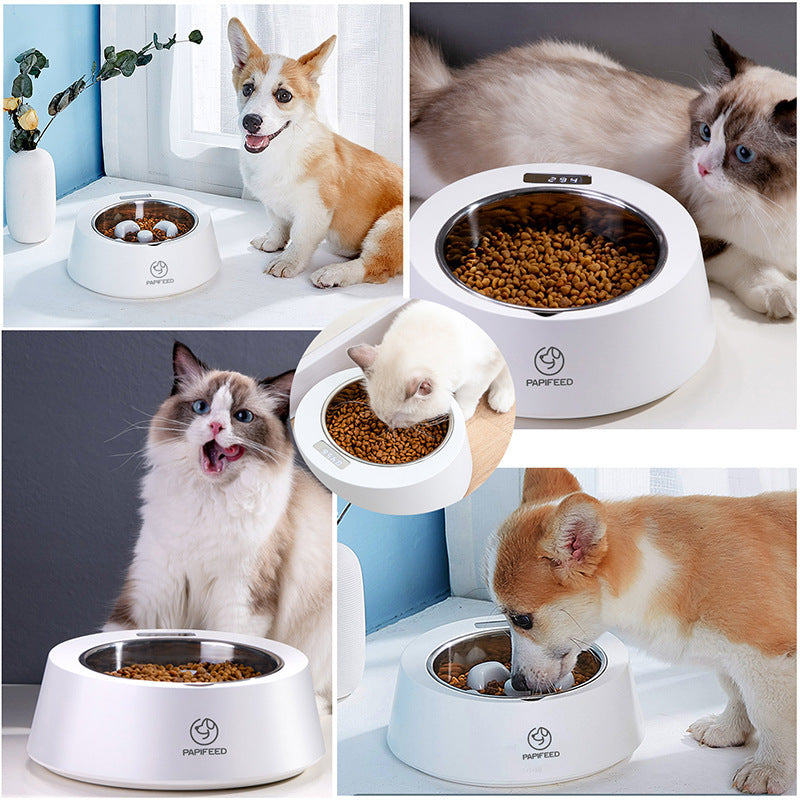 Slow Feeder Pet Bowl | Smart, Measured & Stress-Free Meals