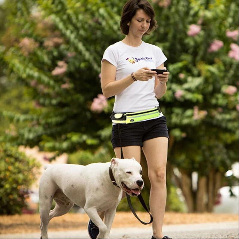 Hands-Free Pet Leash | Secure Walking for Large Dogs