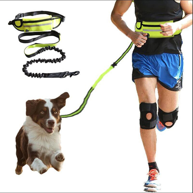Hands-Free Pet Leash | Secure Walking for Large Dogs