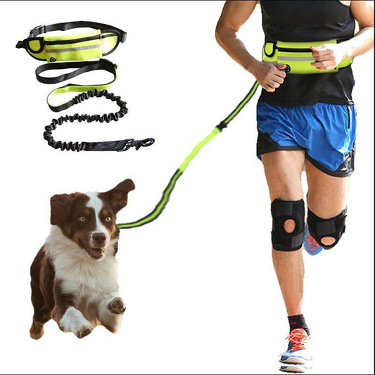 Hands-Free Pet Leash | Secure Walking for Large Dogs