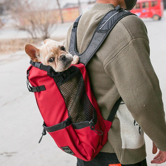 Pet Travel Backpack | Safe, Hands-Free Carrier for Dogs